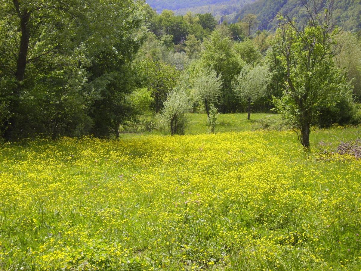 B&B Podere Bramapane Montelungo Superiore Εξωτερικό φωτογραφία